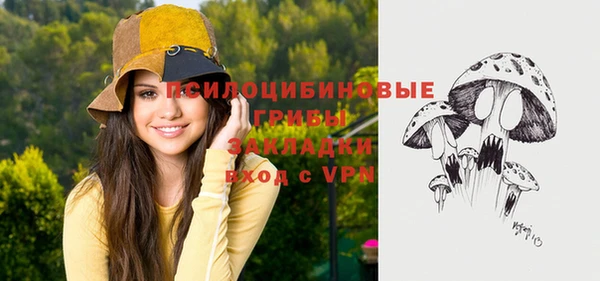 дурь Аркадак